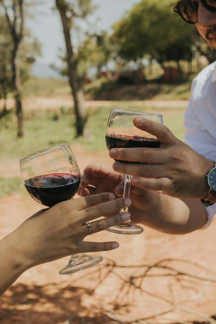 From Lisbon: Jeep Adventure + Wine Tasting + Tapas + Pick up - Final Thoughts on the Lisbon Jeep, Wine, and Tapas Tour