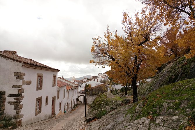 From Lisbon: Jewish Sephardic Heritage Essence Private Tour - Logistics and Comfort: How the Tour Works