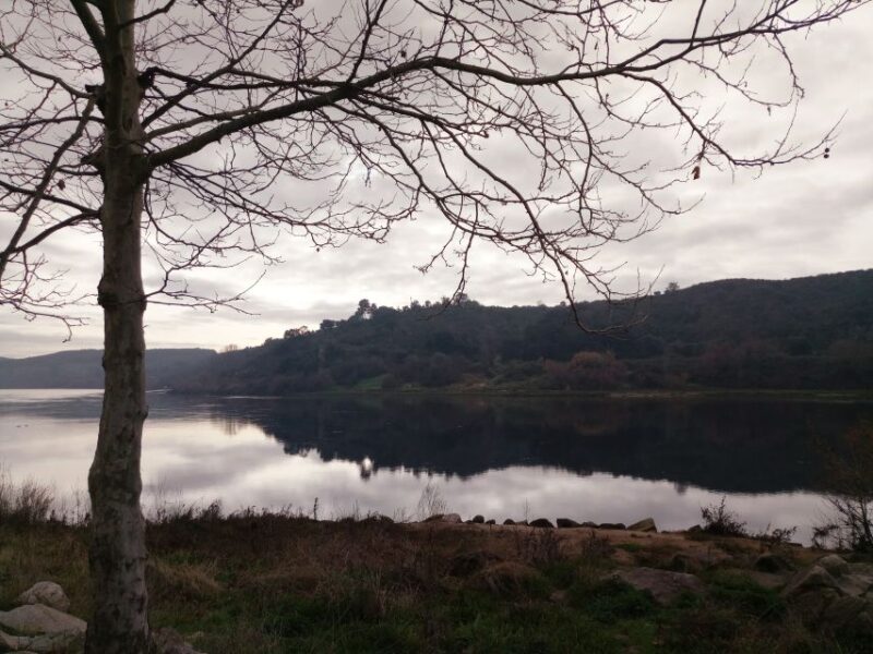 From Lisbon: Knights Templar - Tomar Private Tour - Discovering Tomar’s UNESCO World Heritage Site