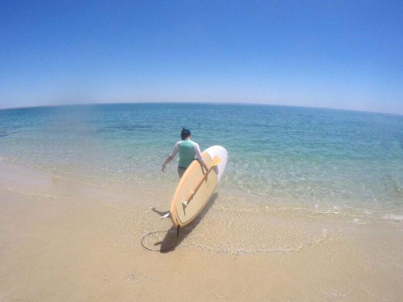 From Lisbon: Nature Park of Arrábida Paddleboarding - Meeting Point and Transportation Options