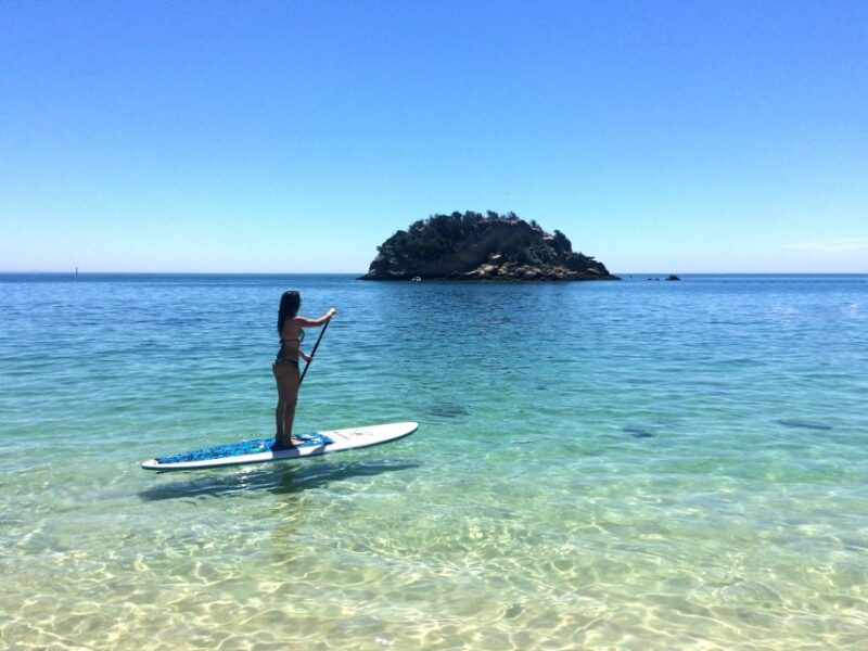 From Lisbon: Nature Park of Arrábida Paddleboarding - What’s Included in the Price