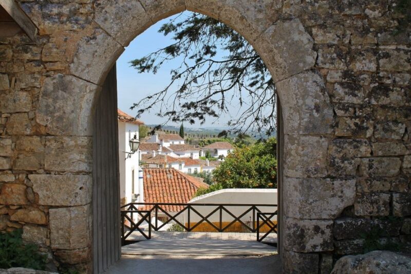 From Lisbon: Óbidos and Mafra Palace Private Tour - Customization and Flexibility