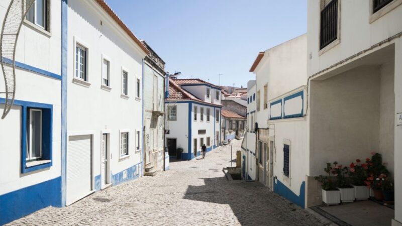 From Lisbon or Cascais: Mafra, Ericeira, and Queluz Day Tour - Who Will Enjoy This Tour Most?