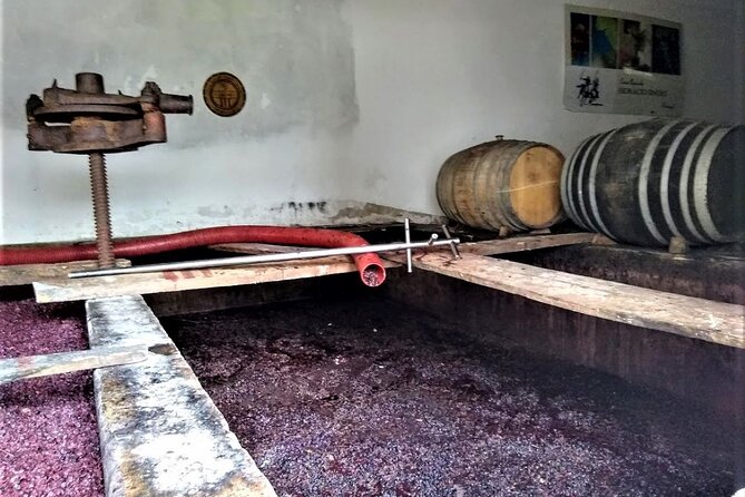 From Lisbon: Palmela-Setúbal Wine Tasting Tour (40kms of Lisbon) - Flexibility and Cancellation Policy