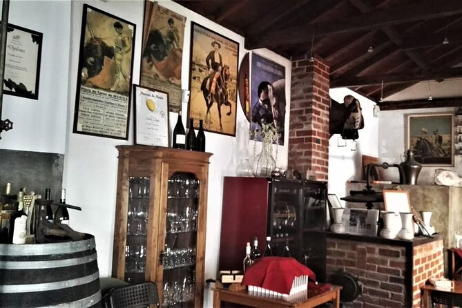 From Lisbon: Palmela-Setúbal Wine Tasting Tour (40kms of Lisbon) - Who Will Love This Tour?