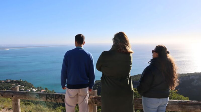 From Lisbon: Private Arrábida Natural Park with Wine Tasting - Practical Details: Pick-up, Transport, and Group Size