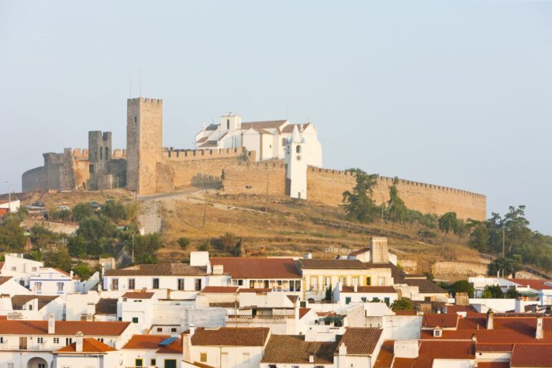 From Lisbon: Private Customized Small-Group Tour to Evora - Comfortable Transportation and Accessibility