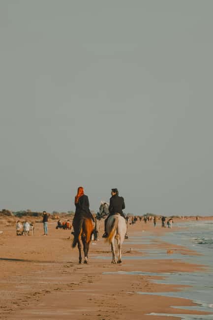 From Lisbon: Private Horse Ride, Wine & Tapas + Pickup - A Unique 9-Hour Day Combining Horseback Riding, Tasting, and Wine Tours from Lisbon