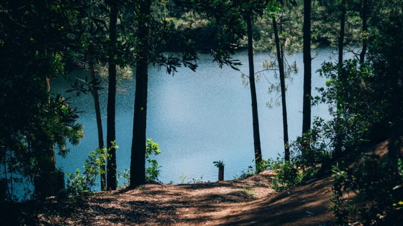 From Lisbon: Private Sintra Tour with a Local Guide - Exploring Cascais and Estoril’s Coastal Charm