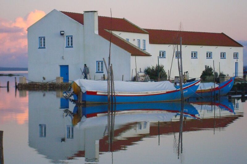 From Lisbon: Private Wine Tour with Setúbal & Arrábida - Sampling Regional Delights at Mourisca Tide Mill