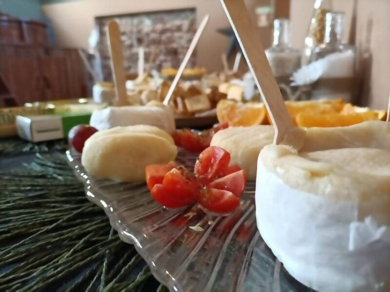 From Lisbon: Private Wine Tour with Setúbal & Arrábida - Suitability and Practical Tips for Travelers