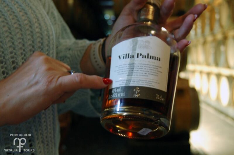 From Lisbon: Private Wine Tour with Wine & Cheese Tasting - Wine Tasting at José Maria da Fonseca