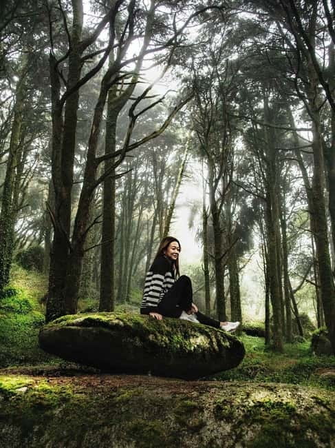 From Lisbon - Regaleira, Cabo da Roca, Forest & True Sintra - Visiting the Enchanted Forest and Secret Viewpoints