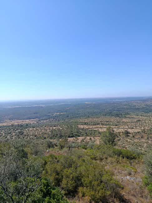 From Lisbon: Rio Maior, Mira de Aire, and Fátima Tour - Fátima Sanctuary: A Major Pilgrimage Destination