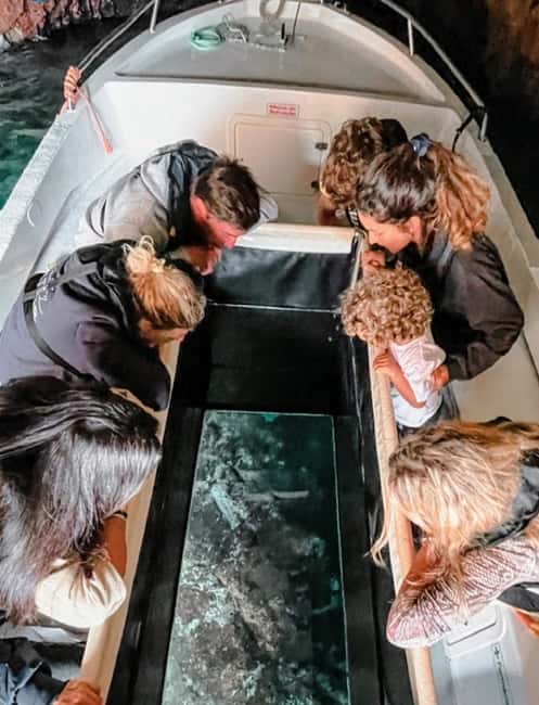 From Lisbon : Round trip to Peniche, Berlengas. - The Experience Provider and Booking Flexibility