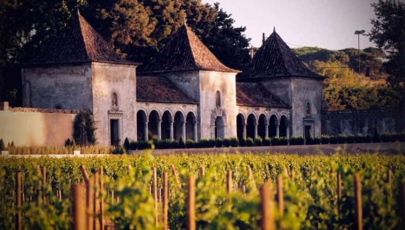 From Lisbon: Serra da Arrábida, Sesimbra, and Setúbal Wines - Visiting Bacalhôa Winery and Its Unique Offerings