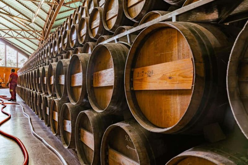 From Lisbon: Serra da Arrábida, Sesimbra, and Setúbal Wines - Discovering Sesimbra Castle and Panoramic Coast Views