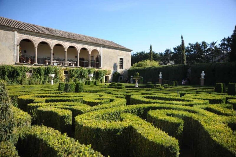 From Lisbon: Serra da Arrábida, Sesimbra, and Setúbal Wines - Practical Details and Tour Logistics