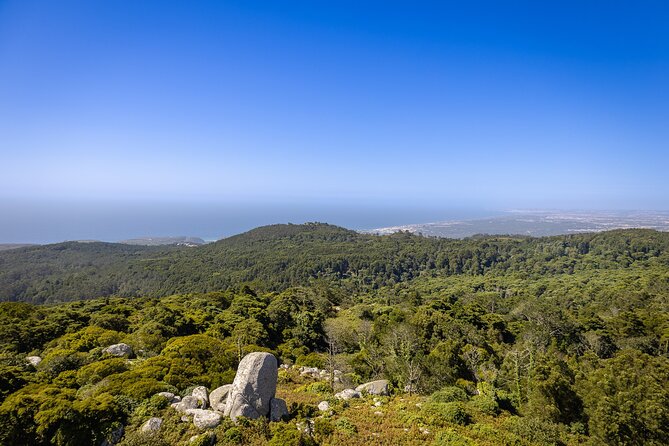 From Lisbon: Sintra, Pena Palace and Regaleira - Starting Point at Time Out Market Lisboa