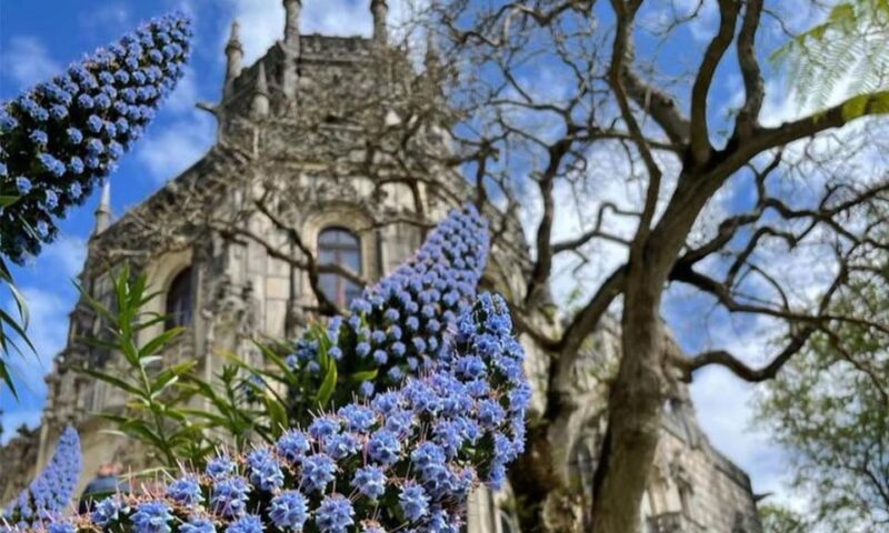 From Lisbon: Sintra, Pena Palace and Regaleira Day Trip - Why This Tour Suits the Right Travelers