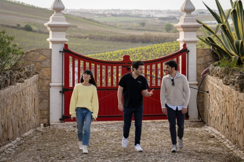 From Lisbon: Sintra & Pena Palace Day Trip with Wine Tasting - Practical Details: Meeting Points and Logistics