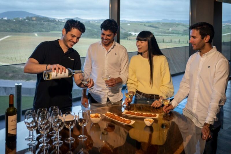 From Lisbon: Sintra & Pena Palace Day Trip with Wine Tasting - Overall Value and Experience