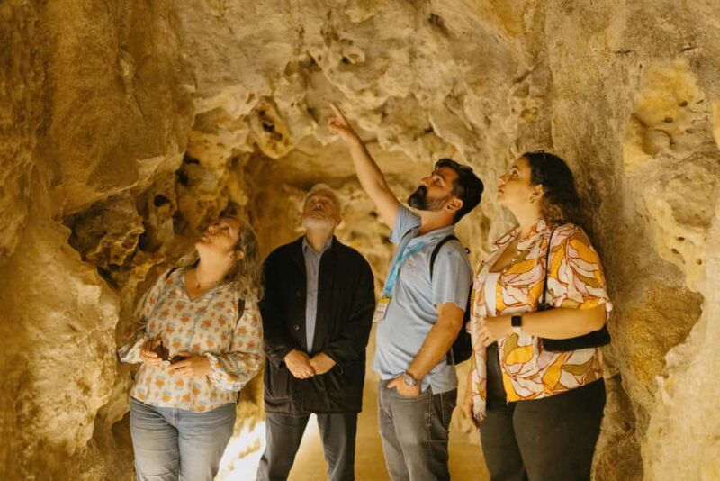 From Lisbon: Sintra, Pena Palace & Quinta da Regaleira - Transportation and Group Size