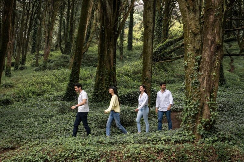 From Lisbon: Sintra with Pena Palace and Cabo da Roca by 4WD - Frequently Asked Questions