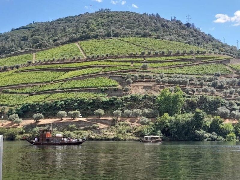 From Lisbon to Douro Valley with Stops up to 4 Cities - Included and Not Included in the Tour