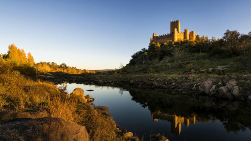 From Lisbon: Tomar, Christ Convent & Almourol Castle Tour - Tour Strengths Highlighted by Reviews