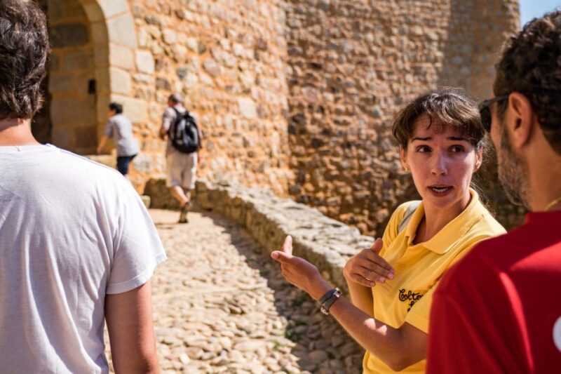 From Lisbon: Tomar, Convent of Christ & Almourol Castle - Comfortable Transportation and Expert Guidance