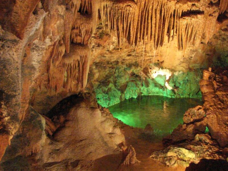 From Lisbon: Tomar Templar Full-Day Private Tour - Lunch Break and Regional Flavors