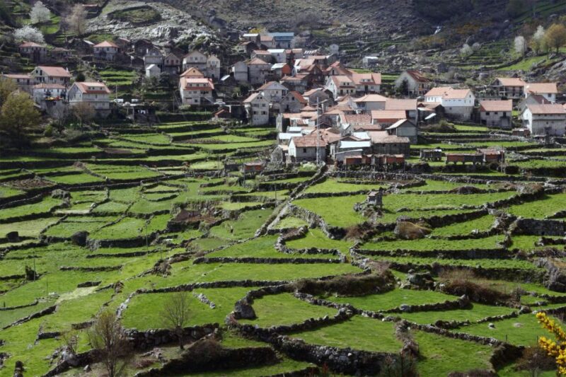 From Lisbon: Tomar Templar Full-Day Private Tour - Considerations and Limitations