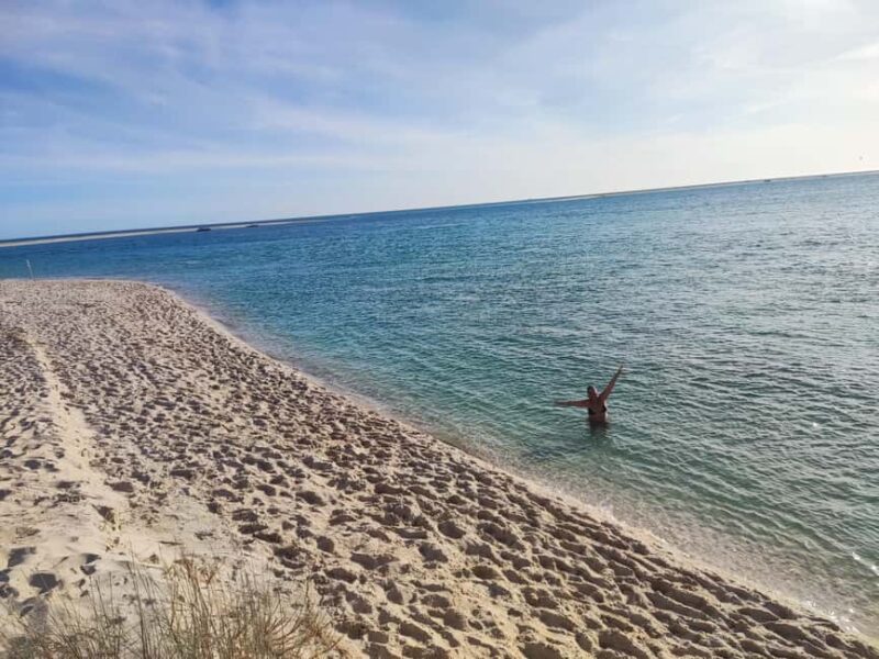 From Lisbon: Tróia and Bacalhoa winery museum with wine tasting. - Explore the Serene Beaches and Marina of Tróia