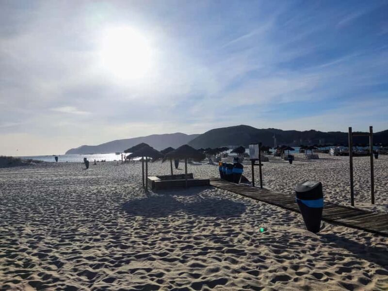 From Lisbon: Tróia and Bacalhoa winery museum with wine tasting. - Experience the Vibrant Tróia Marina and Its Dining Options