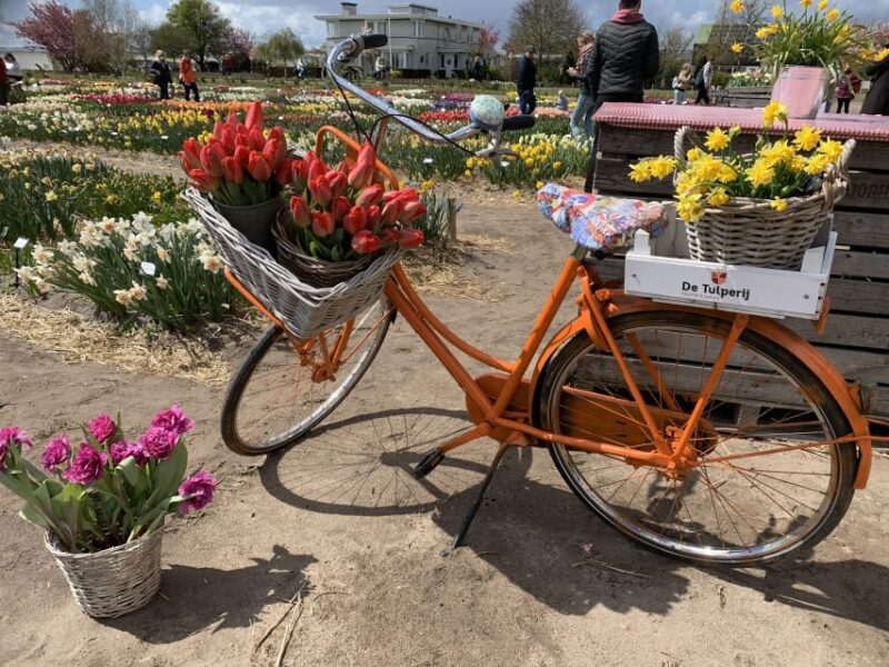 From Lisse: Keukenhof Flower Fields Bike Tour - Practicalities and Booking Options