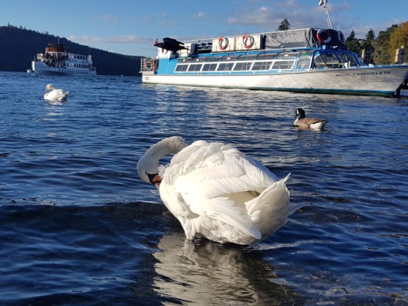 From Liverpool: Lake District Shore Excursion - Return Journey and Flexible Pickup