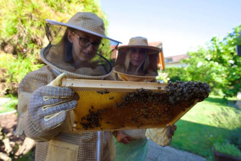 From Ljubljana: All About Bees - Creating Art with a Century-Old Farm Setting