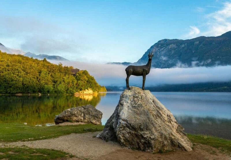 From Ljubljana: Bled & Bohinj Day Trip + Local Picnic Treat - The Appeal of a Homemade Picnic with Local Flavors