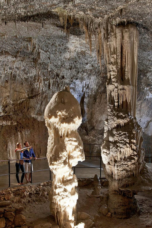 From Ljubljana: Postojna Cave, Predjama Castle, & Piran Tour - Who Will Enjoy This Tour Most