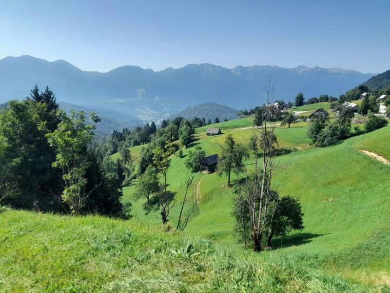 From Ljubljana: Triglav National Park Tour (Private) - Exploring Pokljuka Plateau and Lake Bohinj