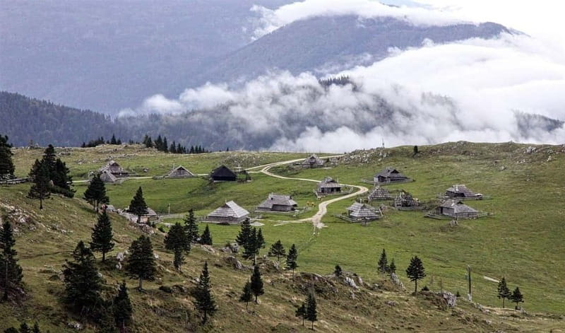 From Ljubljana: Velika Planina Guided Hike - Moderate Hike Through Alpine Meadows and Forests