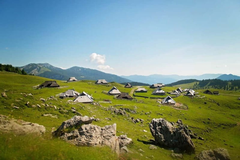 From Ljubljana: Velika Planina Guided Hike - Return Journey and Drop-off at Central Ljubljana Locations