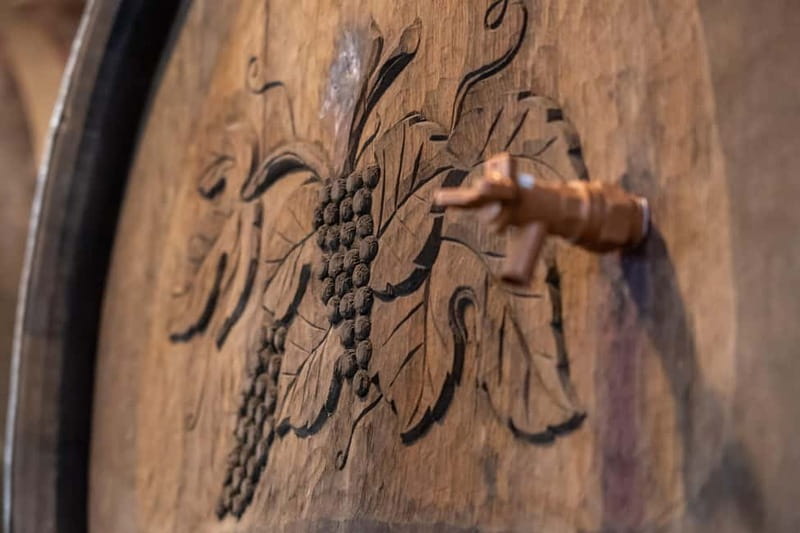 From Ljubljana: Vipava Valley Wine Express Tour - Tasting 7 Wines Paired with Local Appetizers