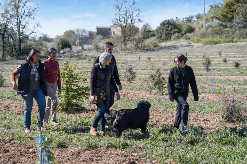 From location: Truffle farm visit, culinary workshop, meal - A Unique Truffle Experience in the South of France for $228