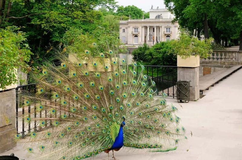 From Lodz: Warsaw City Private Guided Day Trip - Key Points