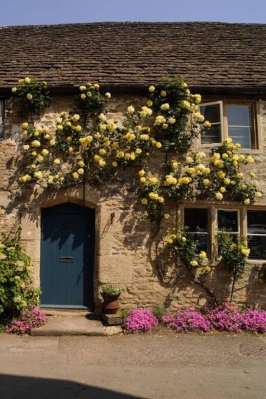 From London: Cotswolds, Country Pub Lunch & Lavender Fields - Explore the Cotswolds Classic Villages and Historic Highlights