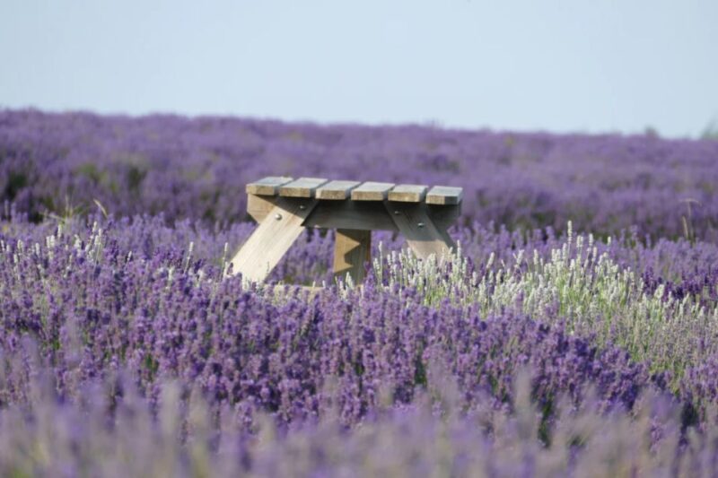 From London: Cotswolds, Country Pub Lunch & Lavender Fields - Lunch at a Traditional Country Pub with Included Drink