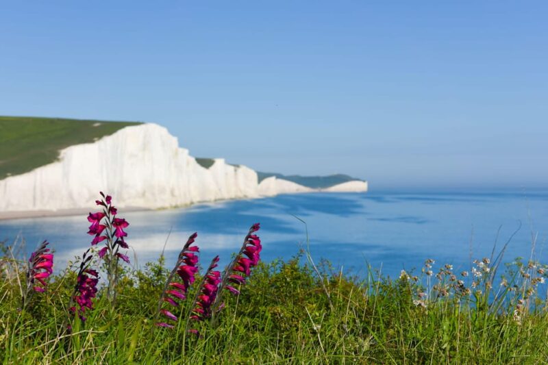 From London: Seven Sisters and Brighton Full-Day Tour - Key Points