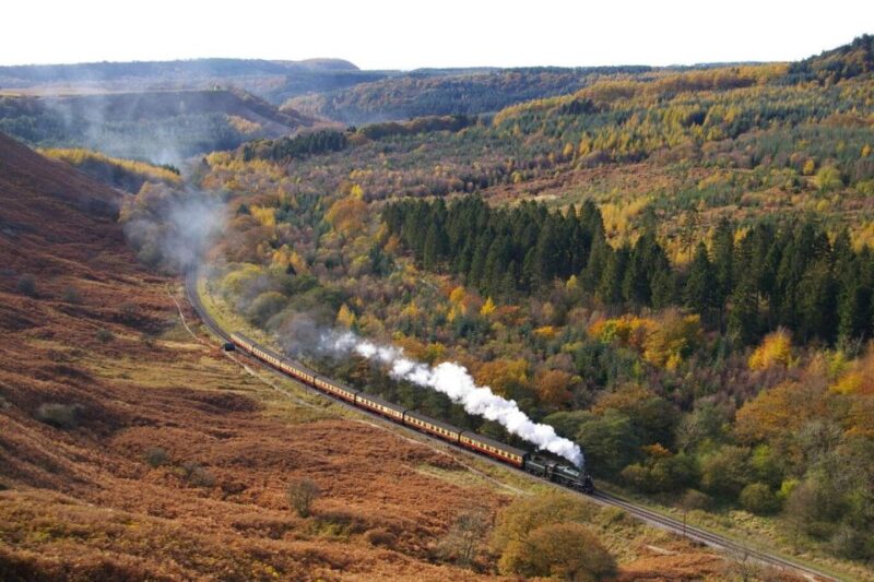 From London: The North York Moors with Steam Train to Whitby - Exploring the North York Moors by Guided Bus Tour